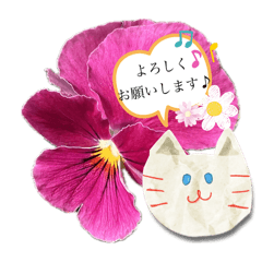 [LINEスタンプ] 春のお花と猫ちゃん