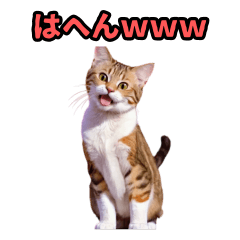 [LINEスタンプ] 夫スタンプ｜ボス(嫁)と僕＠猫ミーム