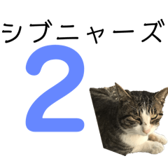 [LINEスタンプ] 2ndシブニャーズ