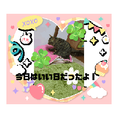 [LINEスタンプ] 日常的でオモシロスタンプの画像（メイン）