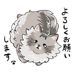 [LINEスタンプ] たぬねこクンの仕事で使える日常敬語