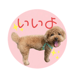 [LINEスタンプ] ふわもこすべ