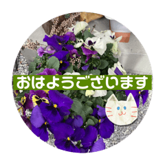 [LINEスタンプ] 花と過ごす日常