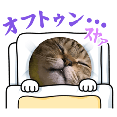 [LINEスタンプ] にゃんニャン❤️