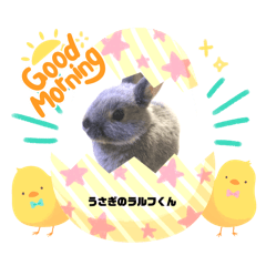 [LINEスタンプ] うさぎのラルフだよ