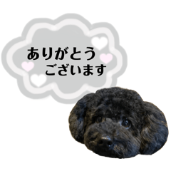 [LINEスタンプ] クロ グレー
