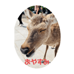 [LINEスタンプ] 鹿ちゃんinなら