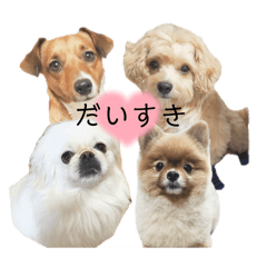 [LINEスタンプ] 4.わんこ