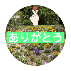 [LINEスタンプ] 花と木と過ごす日常の画像（メイン）