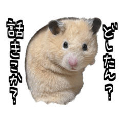 [LINEスタンプ] ジャム日記1！
