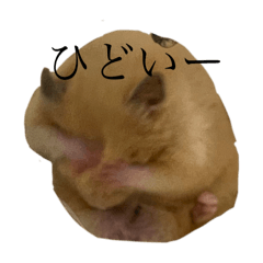 [LINEスタンプ] キンクマハムスターのこめ太郎