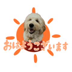 [LINEスタンプ] 殿麻呂くん♂