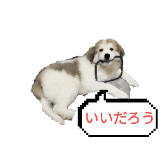 [LINEスタンプ] グレートピレニーズのラム