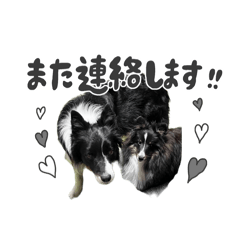 [LINEスタンプ] はなかとこなつ