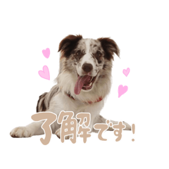 [LINEスタンプ] Aimer♂