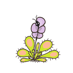 [LINEスタンプ] 食虫植物モウセン-MoMoの幸せな生活の画像（メイン）