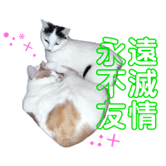 [LINEスタンプ] ピーチ・オ・レ