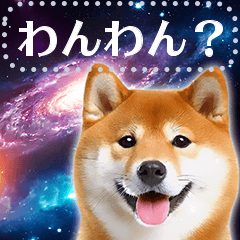 [LINEスタンプ] 宇宙の柴犬で会話しよ！【メッセージ】の画像（メイン）