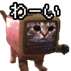 [LINEスタンプ] 猫ミーム【パソコン猫】