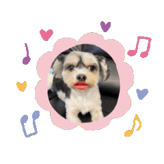 [LINEスタンプ] 喋ってる風な犬たち