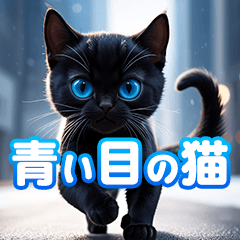 [LINEスタンプ] 青い目の黒猫の画像（メイン）