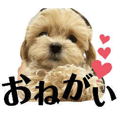 [LINEスタンプ] らぶおのつぶやき