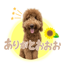 [LINEスタンプ] Smoky（スモーキー）