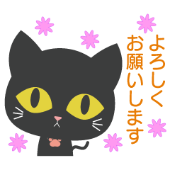 [LINEスタンプ] 【毎日使える】黒猫ちゃん
