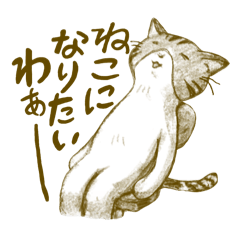 [LINEスタンプ] しま三毛猫のゾエ子