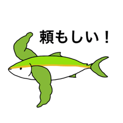 [LINEスタンプ] さかなスタンプ（ブリ）【日常】