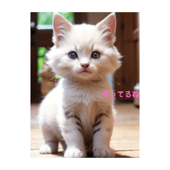 [LINEスタンプ] 猫とぬしさま