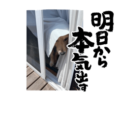 [LINEスタンプ] ochopapa_02