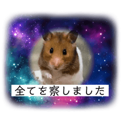 [LINEスタンプ] アラレだよ。