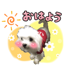 [LINEスタンプ] レイとレオとクリとラムその仲間たち