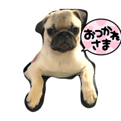 [LINEスタンプ] ぐうちゃんの日常使えるスタンプ