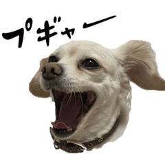 [LINEスタンプ] チワックスのモカ氏2