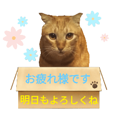 [LINEスタンプ] てばさんのきなこスタンプ
