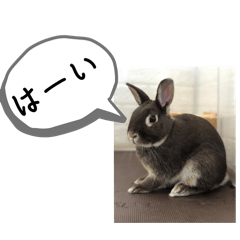 [LINEスタンプ] まるで漫画！？げんまいLINEスタンプ