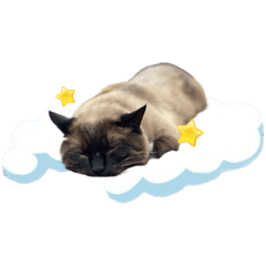[LINEスタンプ] しゃもじニウム
