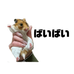 [LINEスタンプ] るる様の日常。