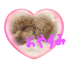 [LINEスタンプ] 可愛いラキくんスタンプの画像（メイン）