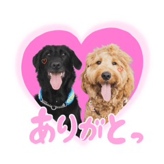 [LINEスタンプ] スラッシュ＆ブラン②