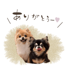 [LINEスタンプ] pomi.momoのすたんぷ。