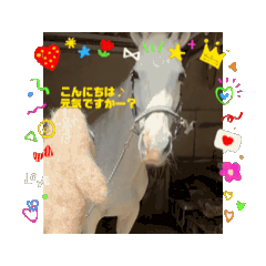 [LINEスタンプ] 動く！動く！犬やら馬やら変な物まで第2弾