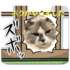 [LINEスタンプ] オレ様なねこ様の画像（メイン）