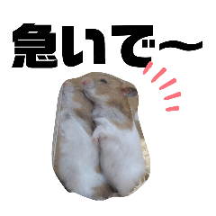 [LINEスタンプ] 小動物仲間たち