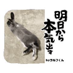 [LINEスタンプ] ラルフくんとラルフくんの画像（メイン）