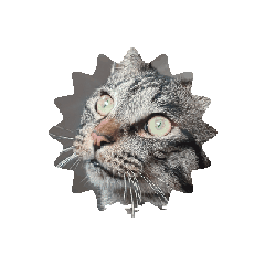 [LINEスタンプ] 敬語キキ様の画像（メイン）