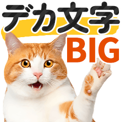 [LINEスタンプ] 【デカ文字BIG】猫写真の敬語スタンプの画像（メイン）