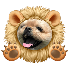 [LINEスタンプ] ここさんまろさん6